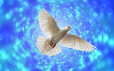Dary Ducha Świętego – Wigilia Zesłania Ducha Świętego 2021