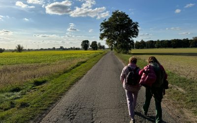 Camino Wielkopolskie – 11 stycznia 2025